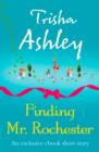 Finding Mr Rochester - eBook