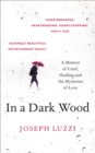 In a Dark Wood : What Dante Taught Me About Grief, Healing, and the Mysteries of Love - eBook