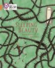 Sleeping Beauty : Band 12/Copper - Book