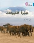 Animal Migration : Level 13 - Book