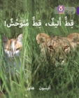 Tame Cat, Wild Cat : Level 8 - Book