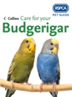 Care for your Budgerigar (RSPCA Pet Guide) - RSPCA