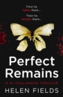 A Perfect Remains - eBook