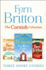 Fern Britton Short Story Collection : The Stolen Weekend, A Cornish Carol, The Beach Cabin - eBook