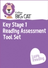 KS1 Reading Assessment Tool Pack - Book