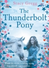 The Thunderbolt Pony - Book