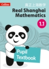 Pupil Textbook 1.1 - Book