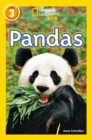 Pandas : Level 3 - Book