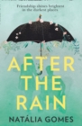 After the Rain - Book