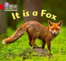It is a Fox : Band 02b/Red B - Book