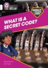 Shinoy and the Chaos Crew: What is a secret code? : Band 10/White - Book