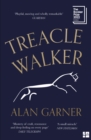 Treacle Walker - eBook