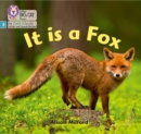 It is a Fox : Phase 3 Set 1 - Book