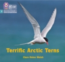 Terrific Arctic Terns : Phase 3 Set 2 - Book