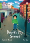 Down my Street : Phase 4 Set 2 - Book