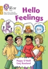 Hello Feelings : Phase 5 Set 3 - Book