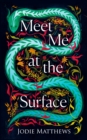 Meet Me at the Surface - Book