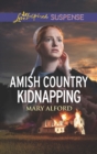 Amish Country Kidnapping - eBook