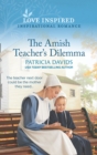 The Amish Teacher's Dilemma - eBook