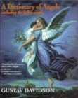 Dictionary of Angels - Book