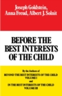 Before the Best Interests of the Child - Book
