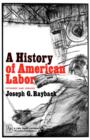 History of American Labor - Book