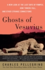 Ghosts Of Vesuvius : A New Look At The Last Days Of Pompeii, How Towers F all, And Other Strange Connections - Book