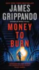 Money to Burn - Book