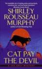 Cat Pay the Devil - eBook