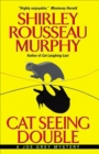 Cat Seeing Double - eBook