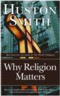 Why Religion Matters : The Fate of the Human Spirit in an Age of Disbelief - eBook