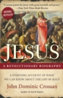 Jesus : A Revolutionary Biography - Book