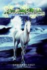 Phantom Stallion: Wild Horse Island #4: Castaway Colt - eBook