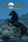 Phantom Stallion #14: Moonrise - eBook