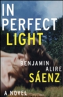 In Perfect Light : A Novel - eBook