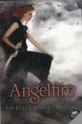 Angelfire - Book