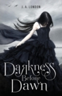 Darkness Before Dawn - Book