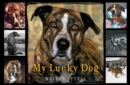 My Lucky Dog - eBook