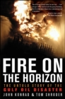 Fire on the Horizon : The Untold Story of the Gulf Oil Disaster - eBook