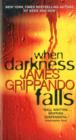 When Darkness Falls - Book
