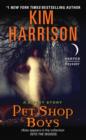 Pet Shop Boys : A Short Story - eBook