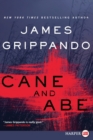 Cane and Abe [Large Print] - Book