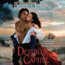 Destiny'S Captive - eAudiobook