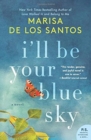 I'll Be Your Blue Sky - Book