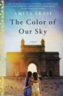 The Color of Our Sky : A Novel - eBook