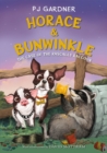 Horace & Bunwinkle: The Case of the Rascally Raccoon - Book