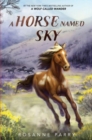 A Horse Named Sky - Book