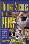 Hitting Secrets of the Pros - eBook