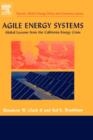 Agile Energy Systems : Global Lessons from the California Energy Crisis - Book