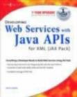 Developing Web Services with Java APIs for XML Using WSDP - eBook